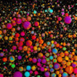 Meet your Posher, Khatia